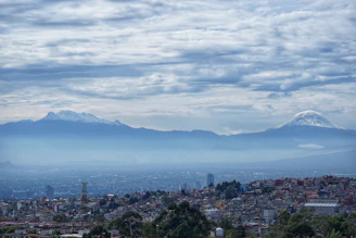 aerial view of city during daytime
