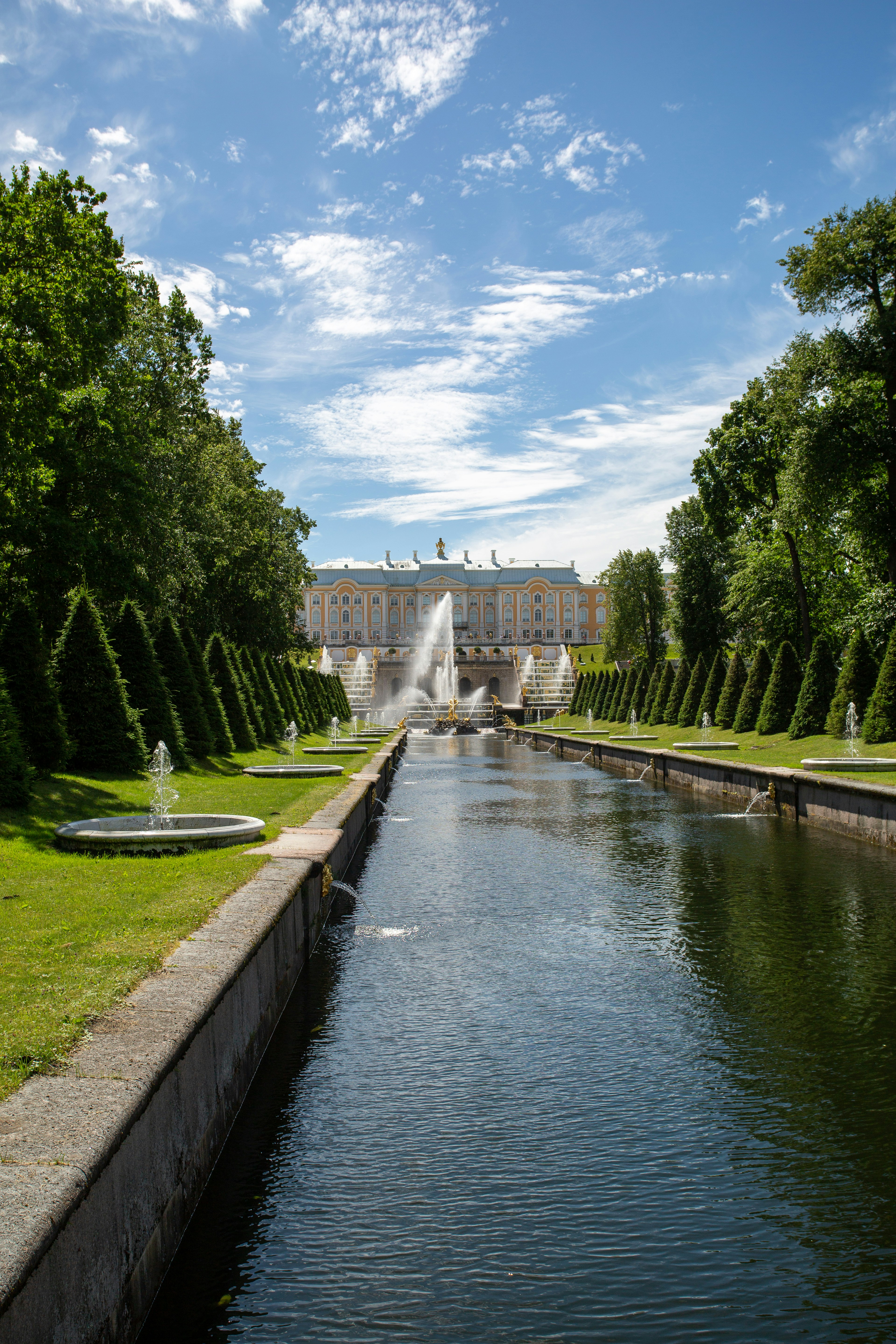 Árboles verdes cerca del cuerpo de agua durante el día