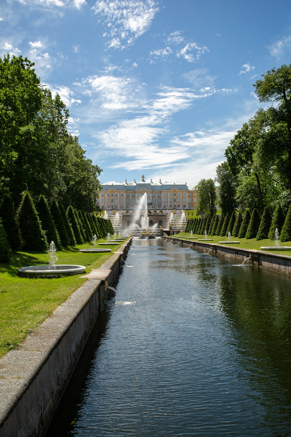 green trees near body of water during daytime