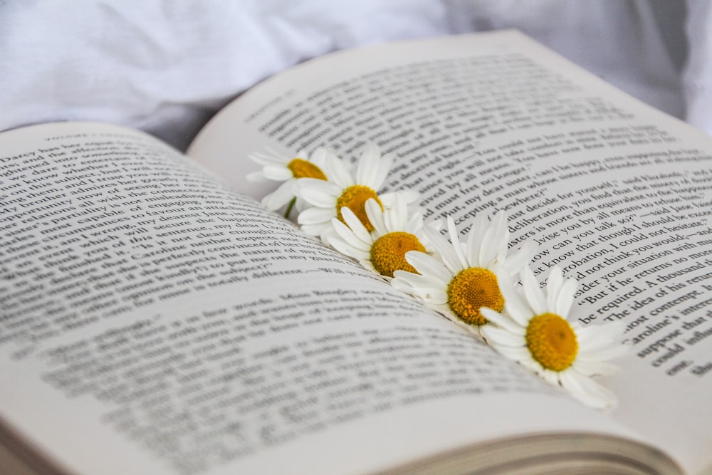 white and yellow daisy on book page