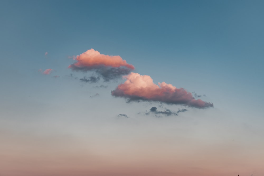 pássaros voando sob o céu azul durante o dia