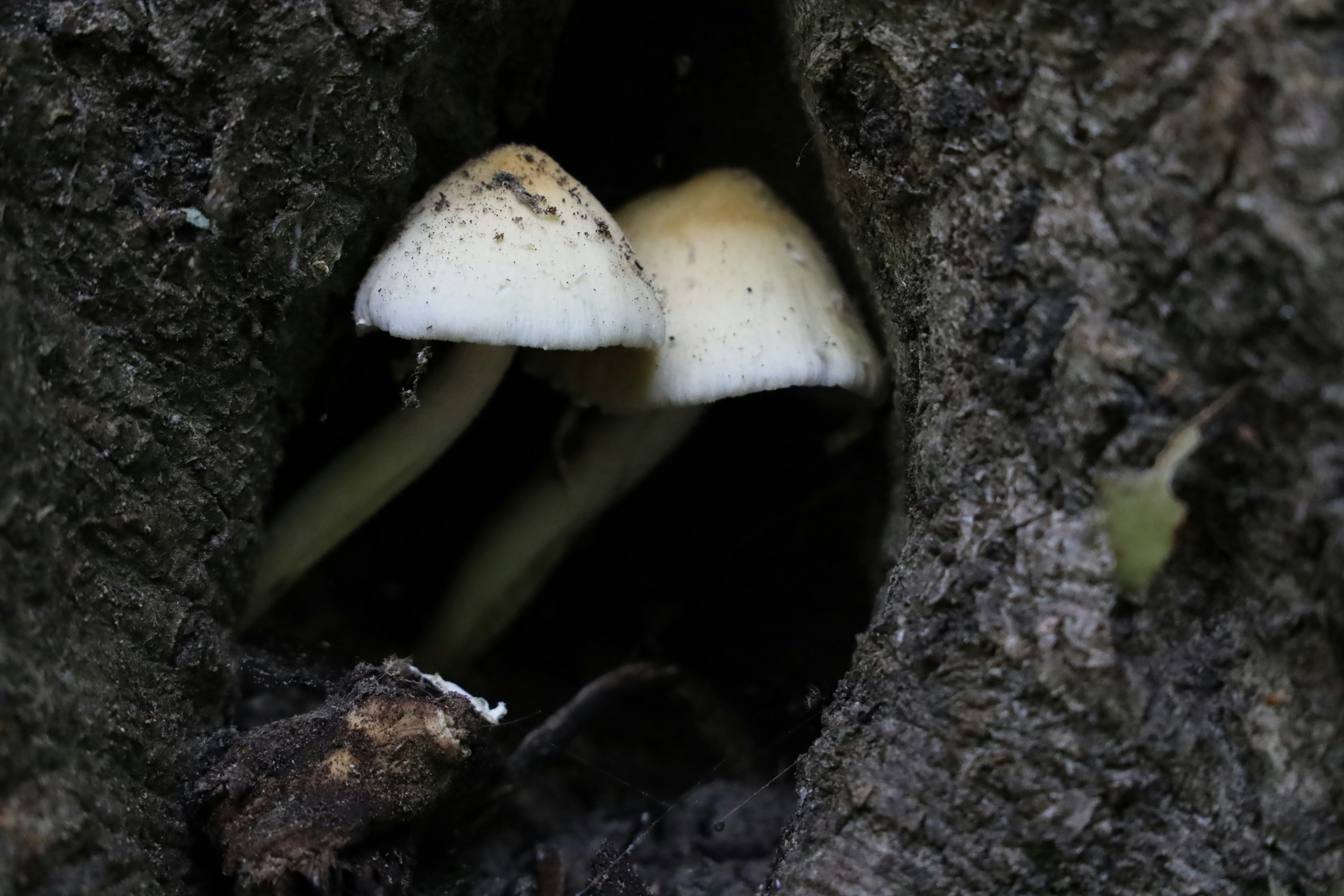 Photo by richardworks