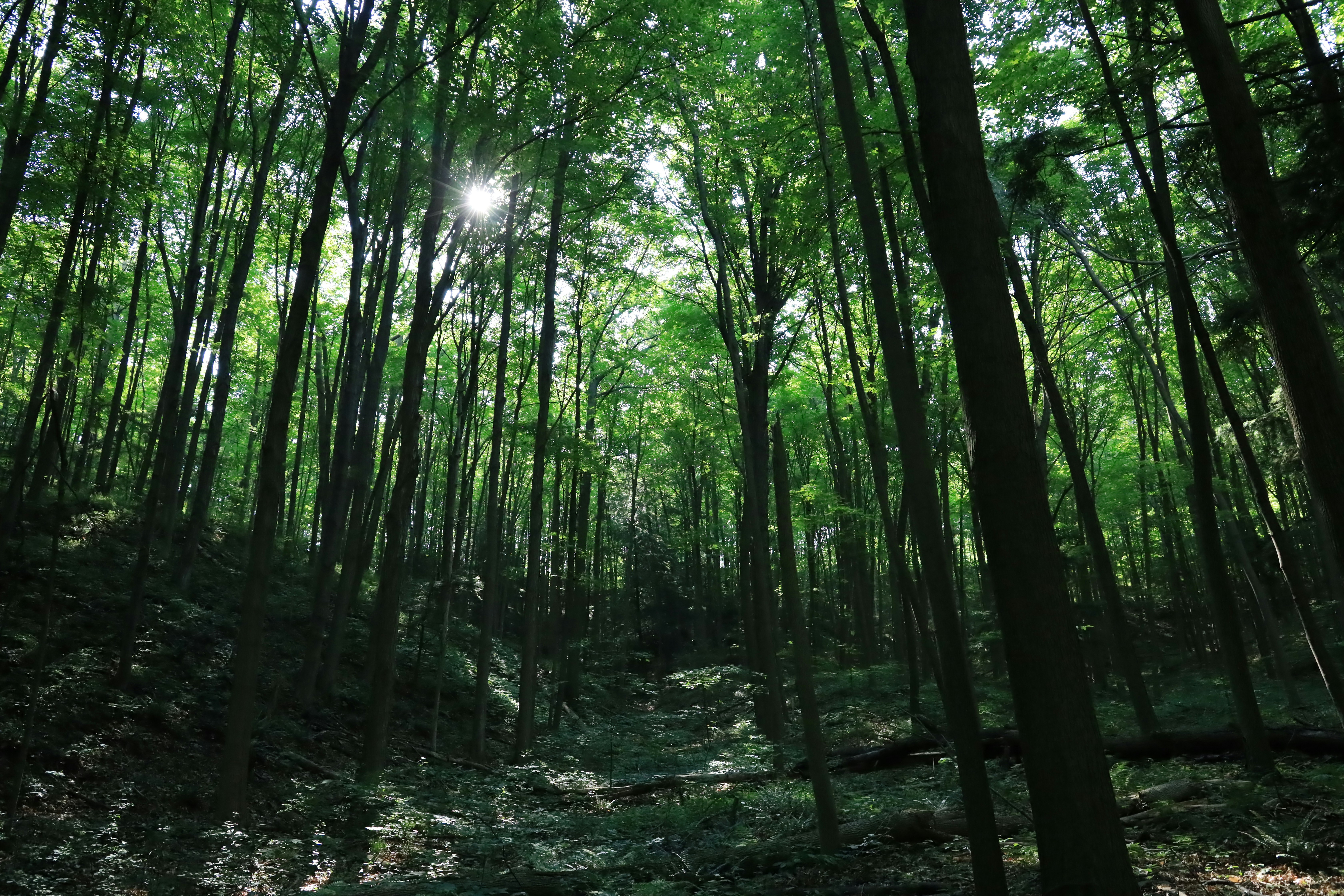 Photo by richardworks