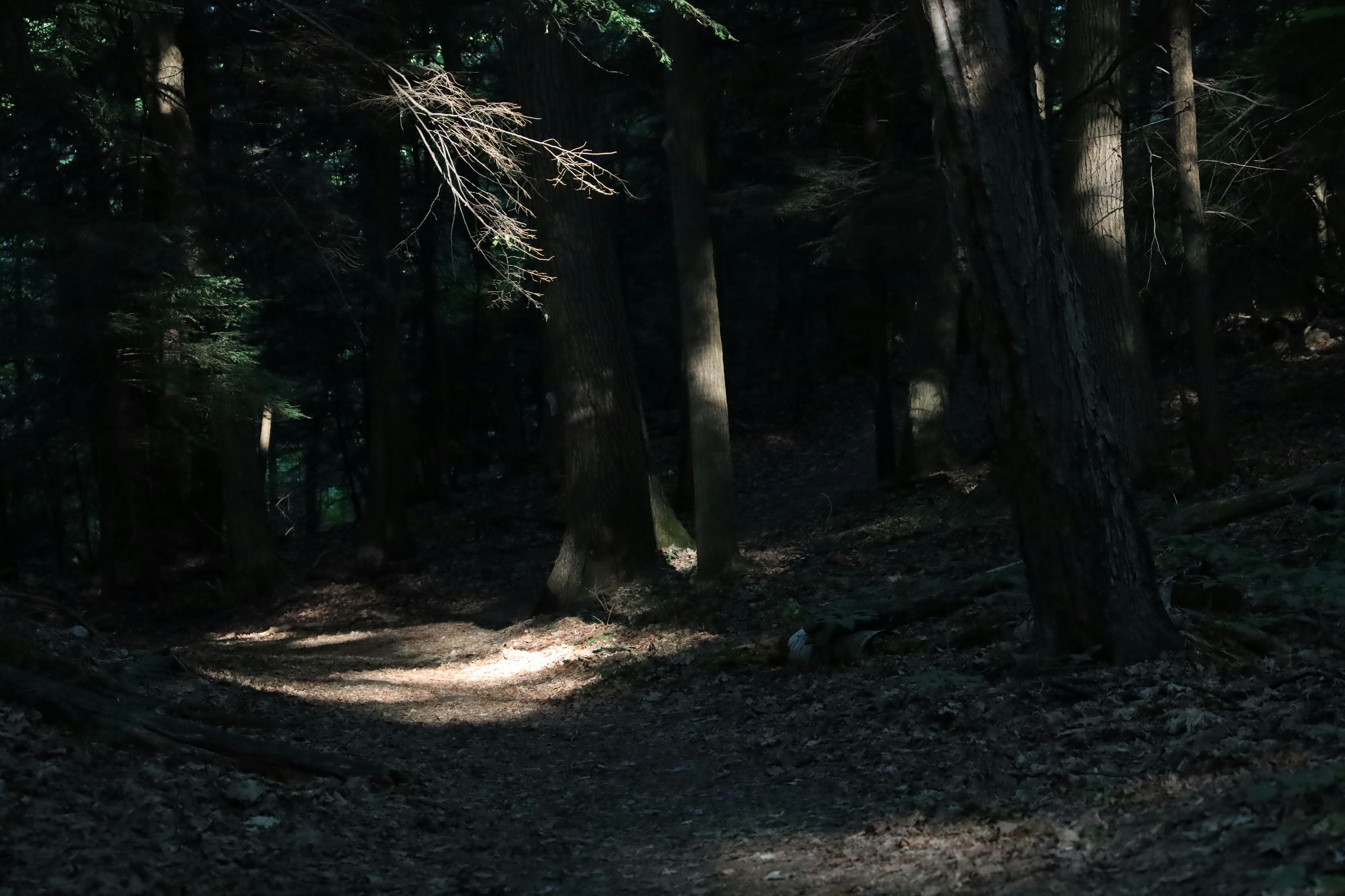 Photo by richardworks