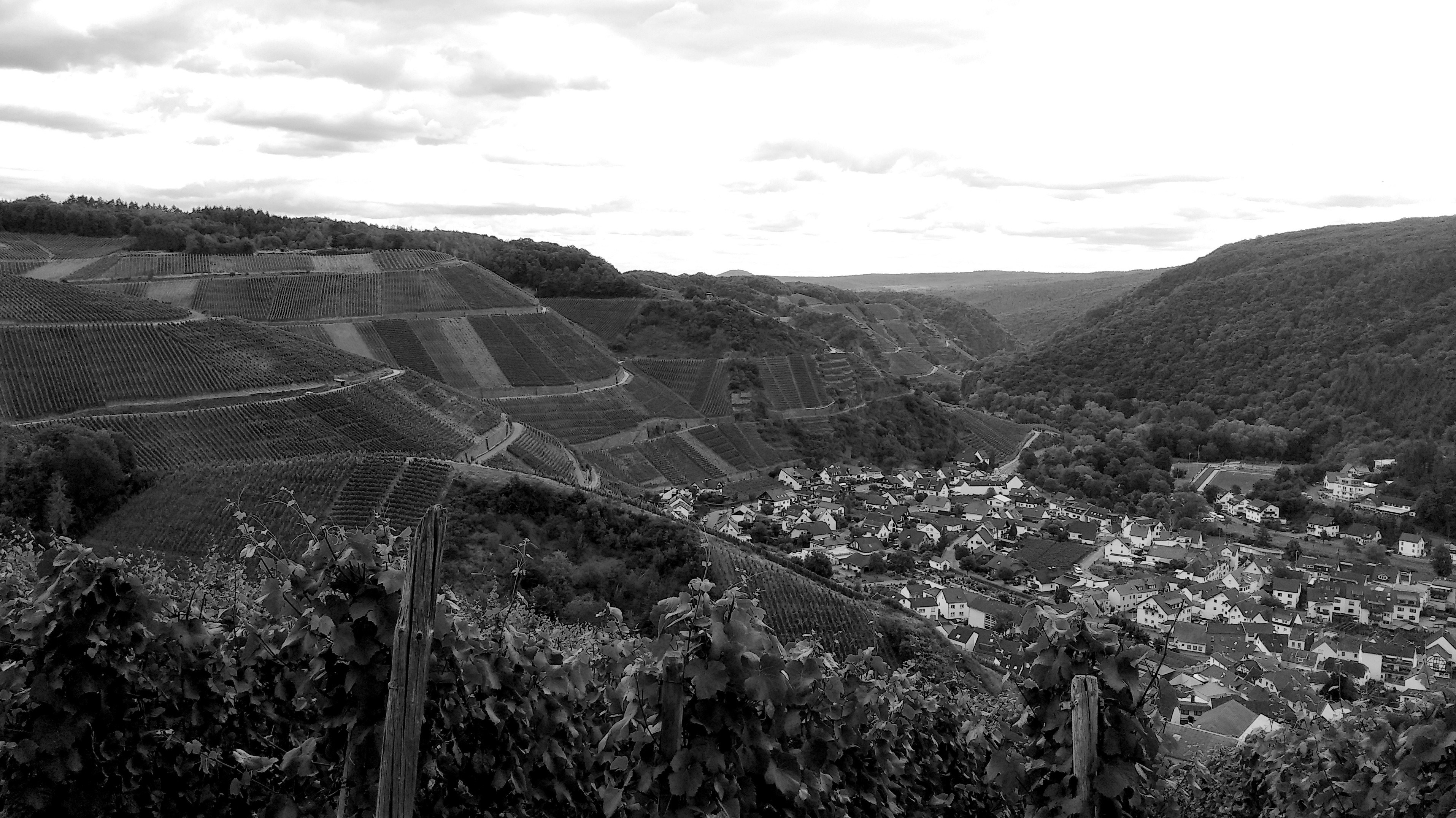 Photo by daniel_gimbel