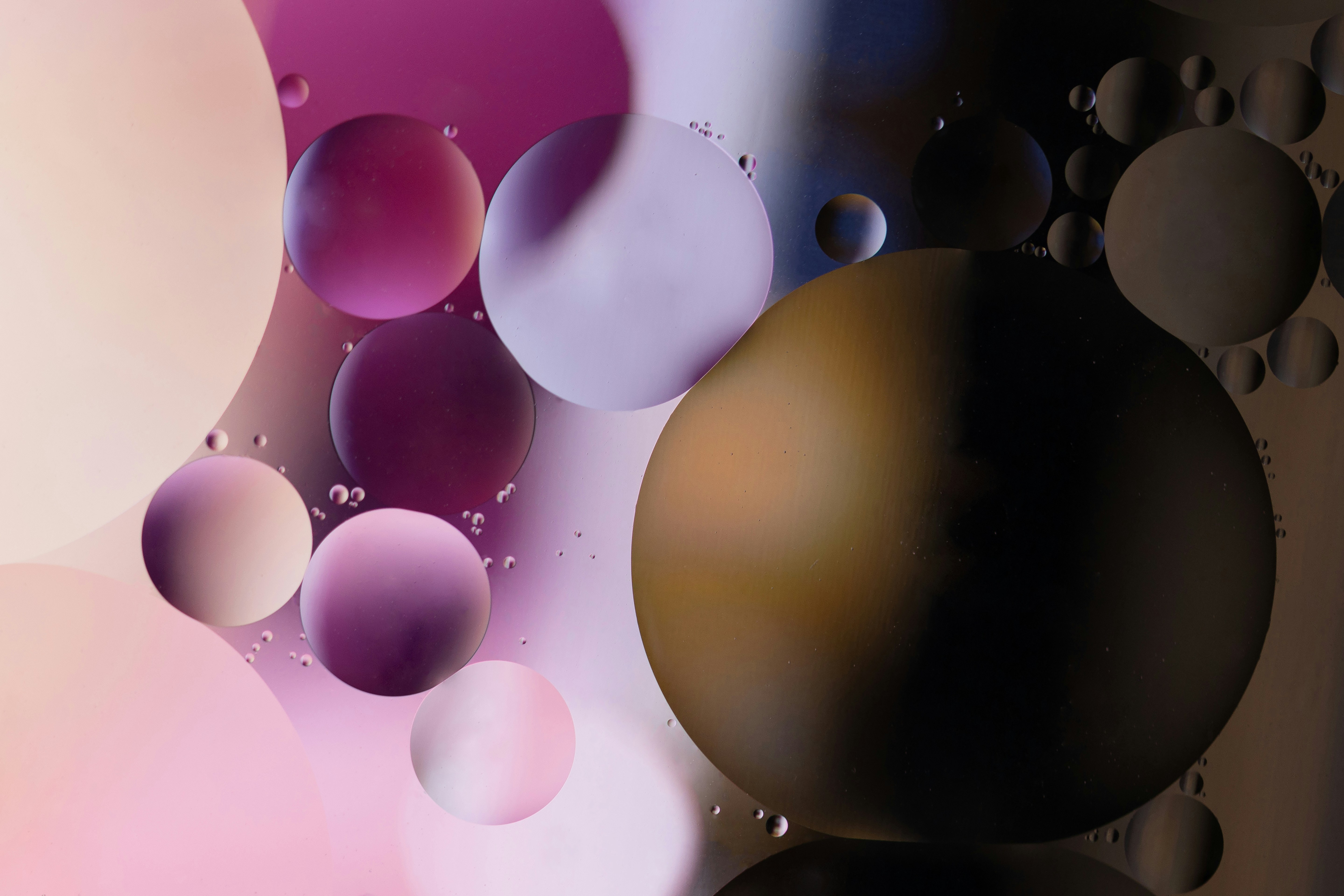 床にピンクと白の風船の写真 Unsplashの無料写真