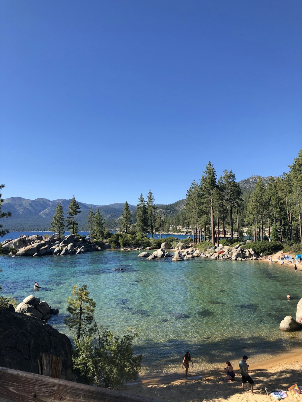 people swimming on lake during daytime