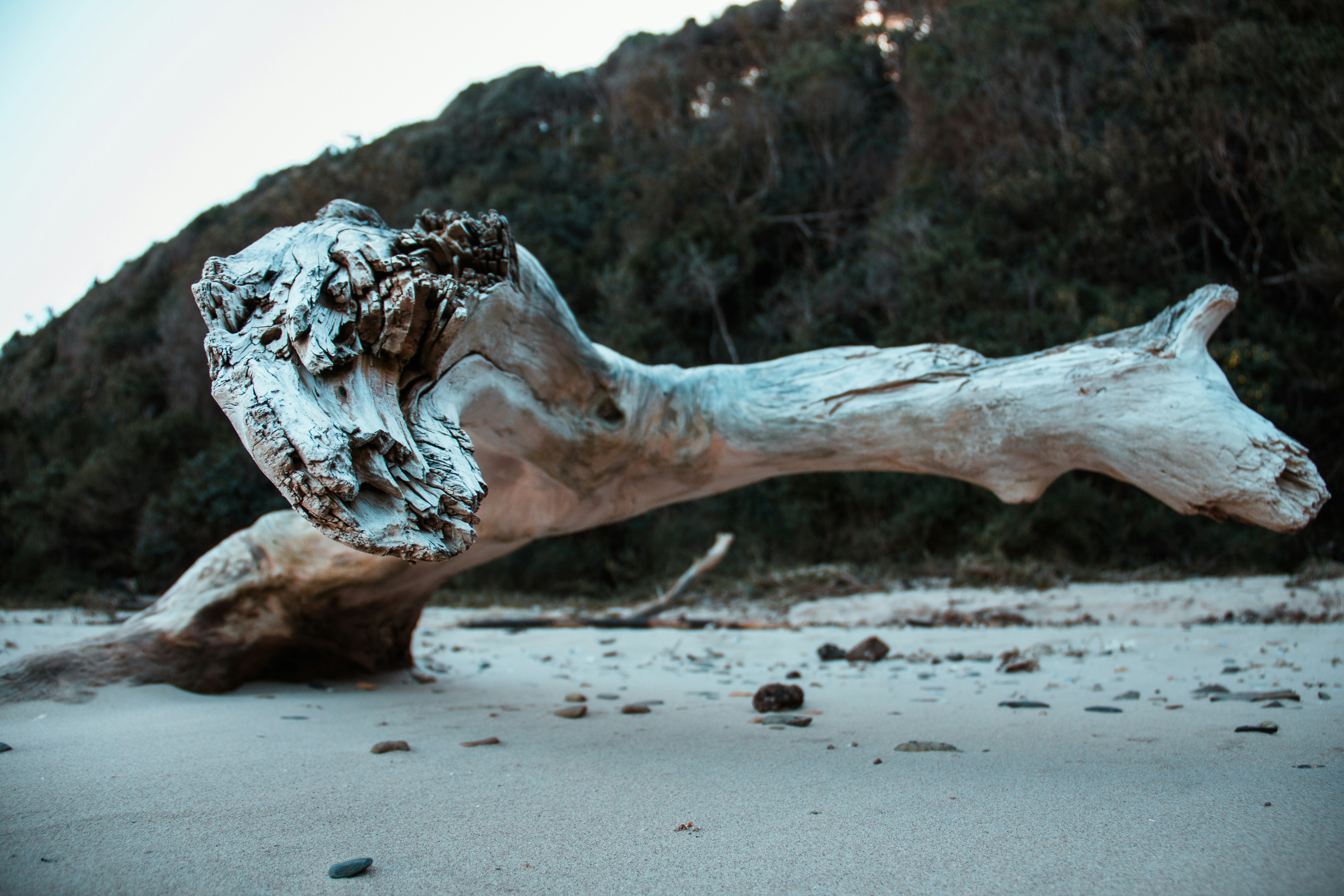 Photo by original_glb