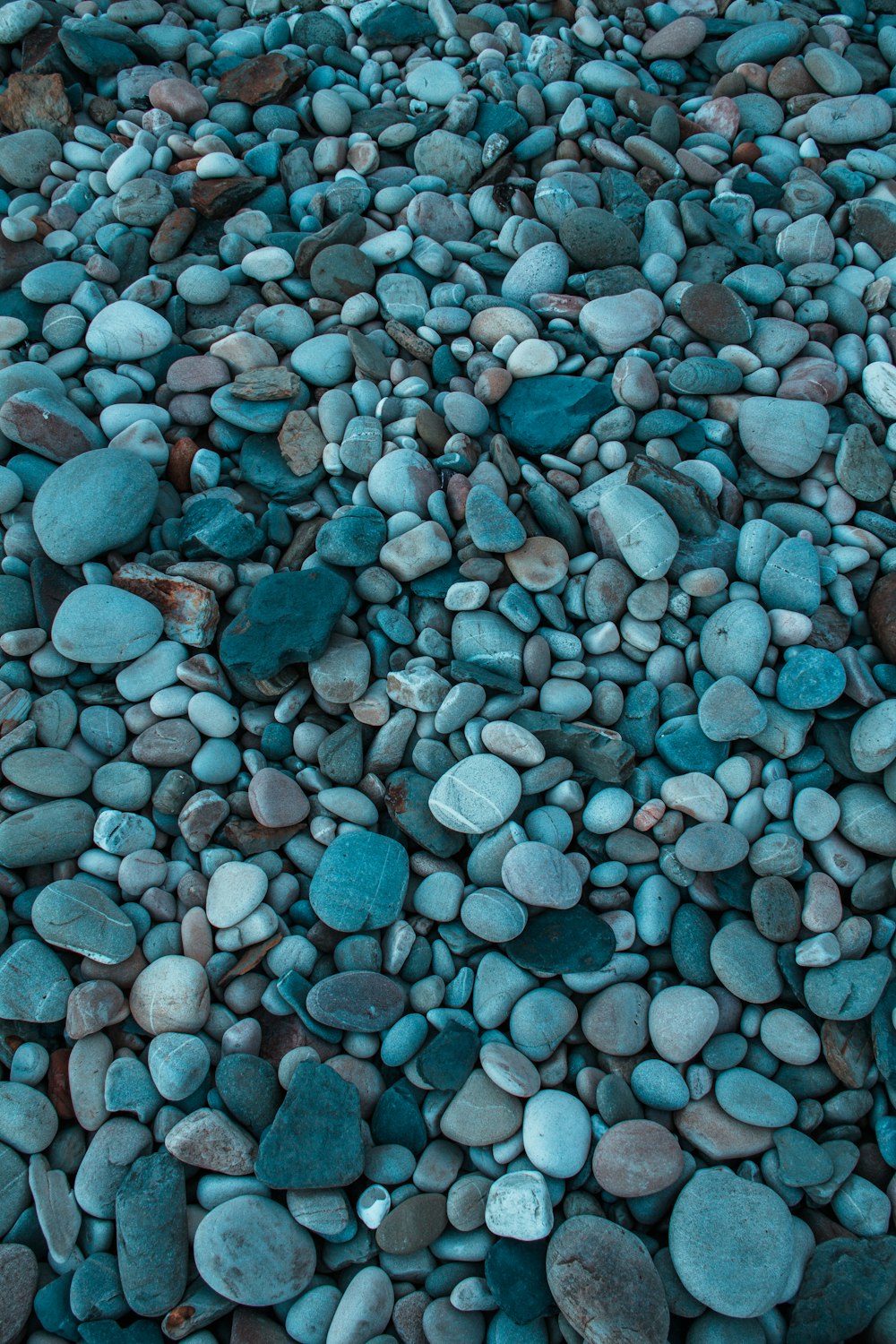 blue and white pebbles on ground