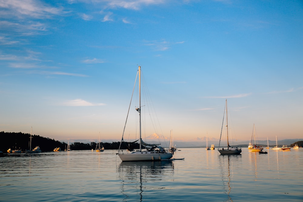 white sail boat on sea under blue sky during daytime