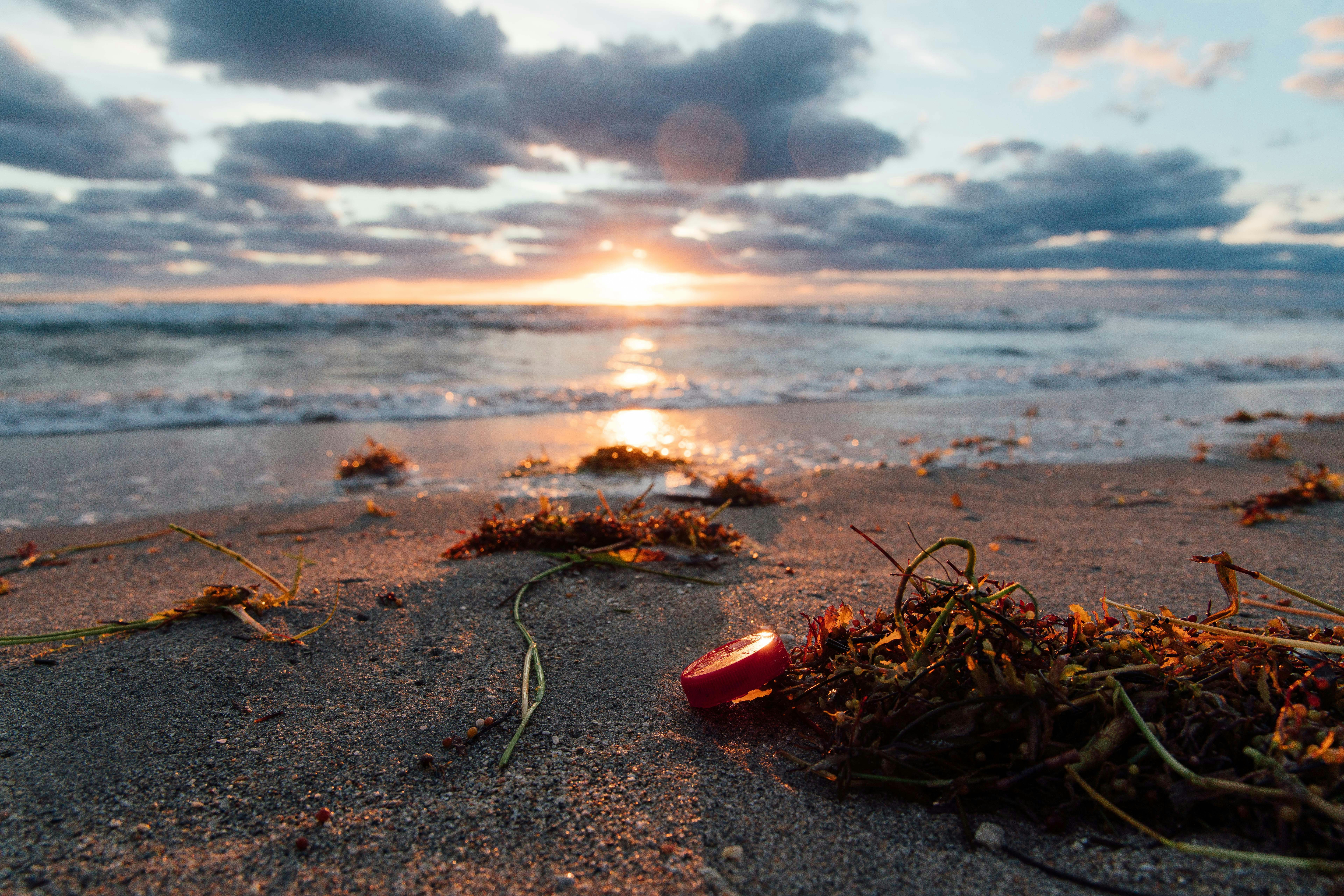 sustainability florida