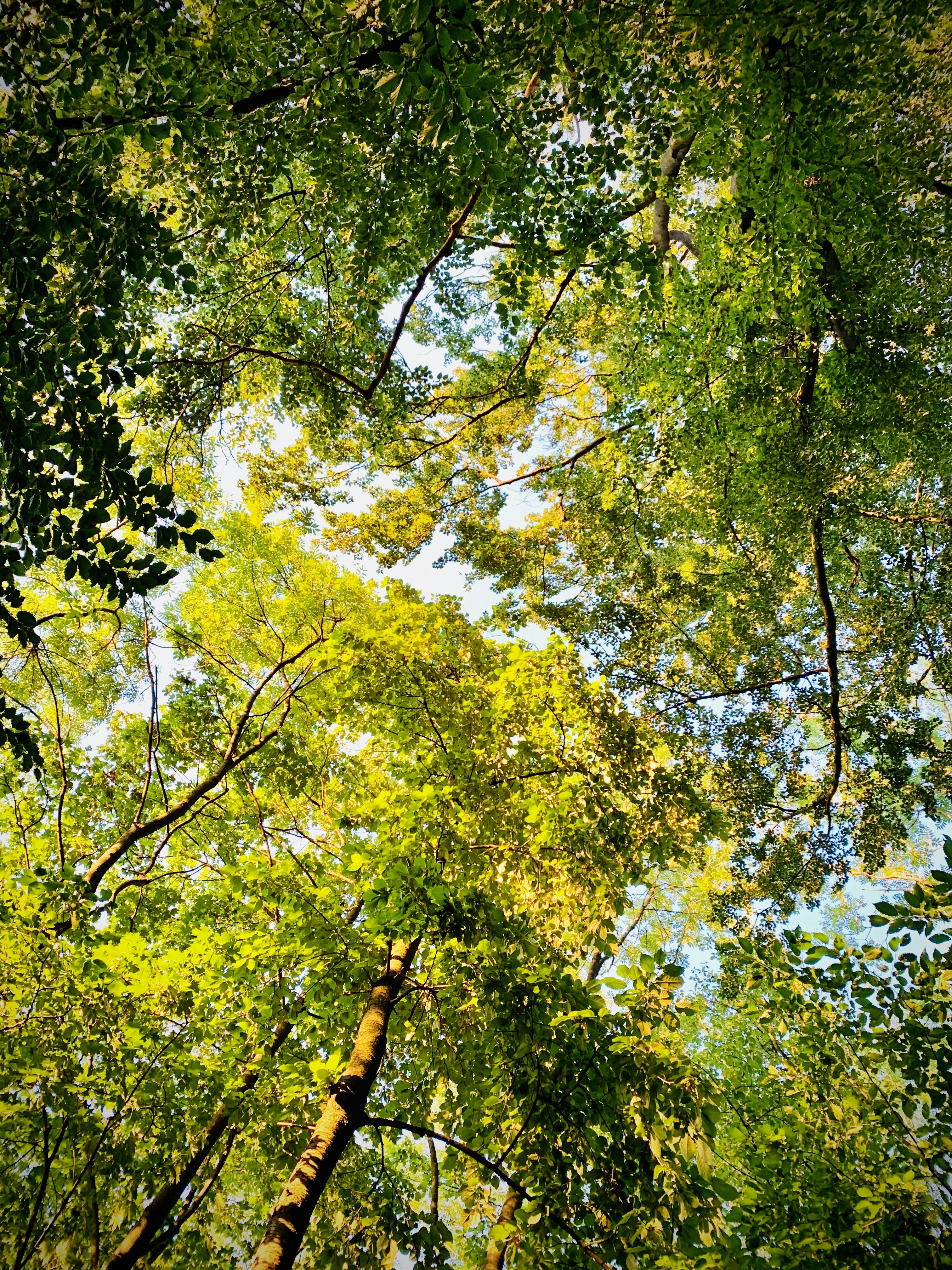 Photo by wolfgangrittner