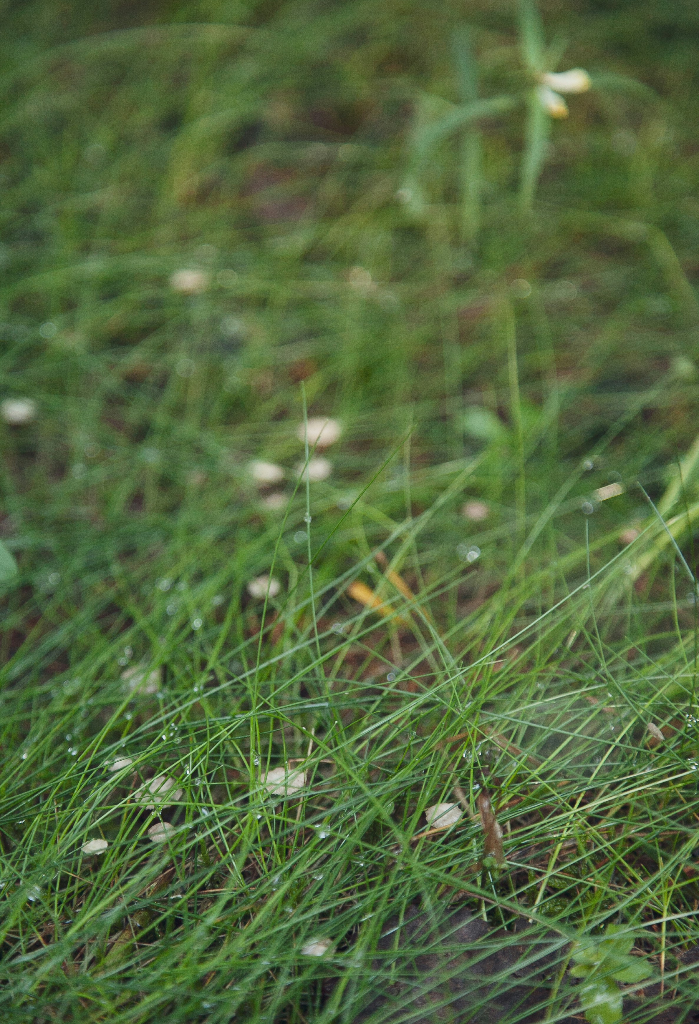 Photo by nick_brookenheimer