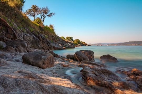 brown rocky shore with green trees and blue sea under blue sky during daytime in Ría de Aldán Spain