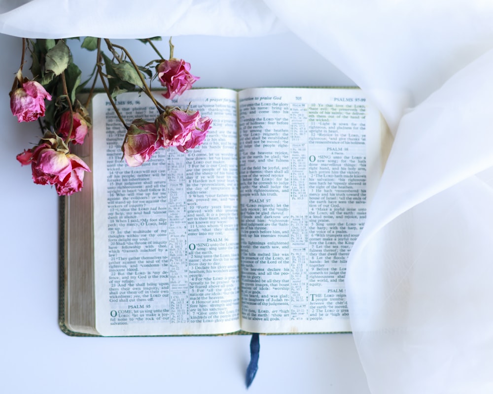 opened book with pink rose on top