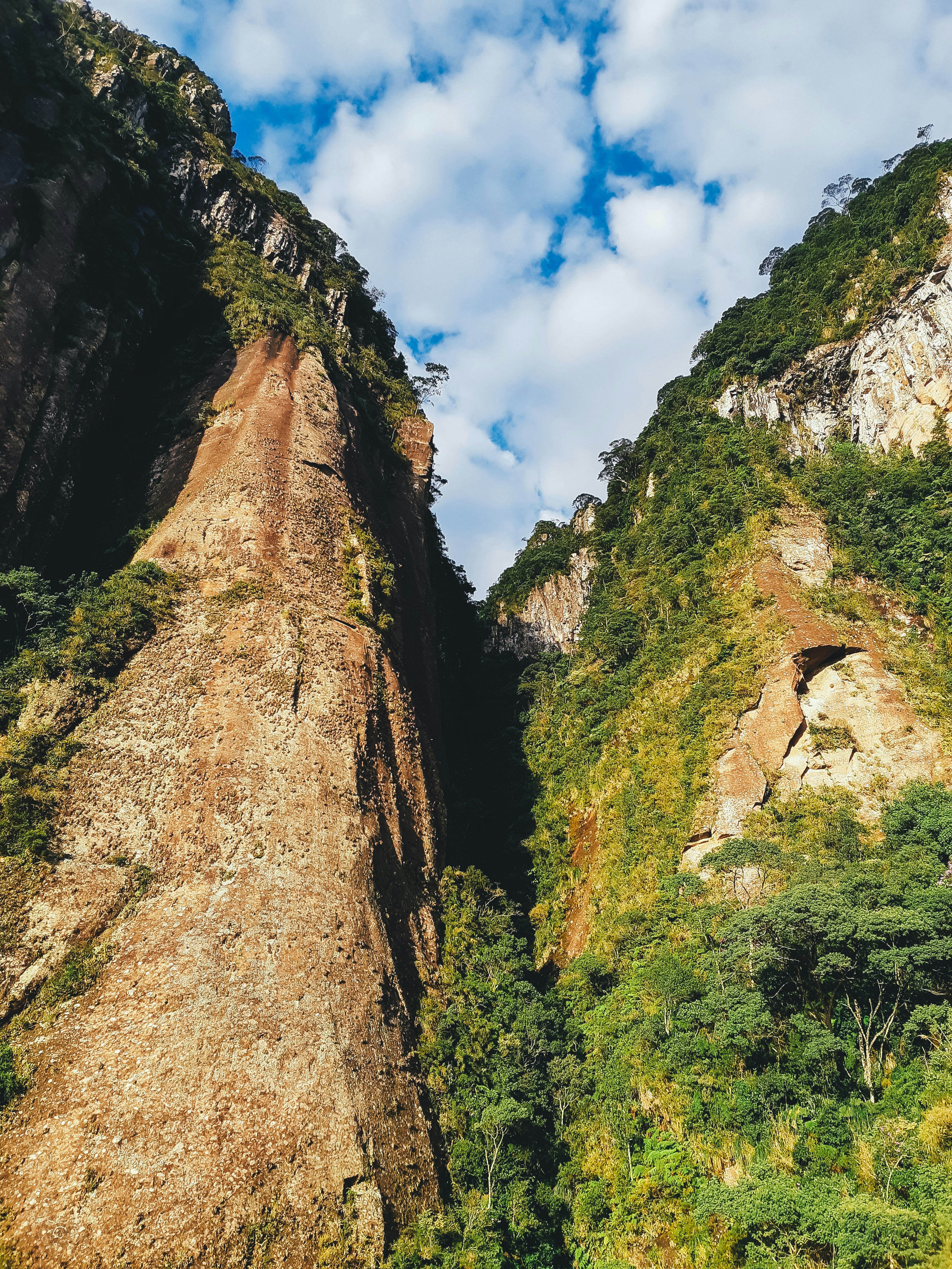 Photo by claitonconto