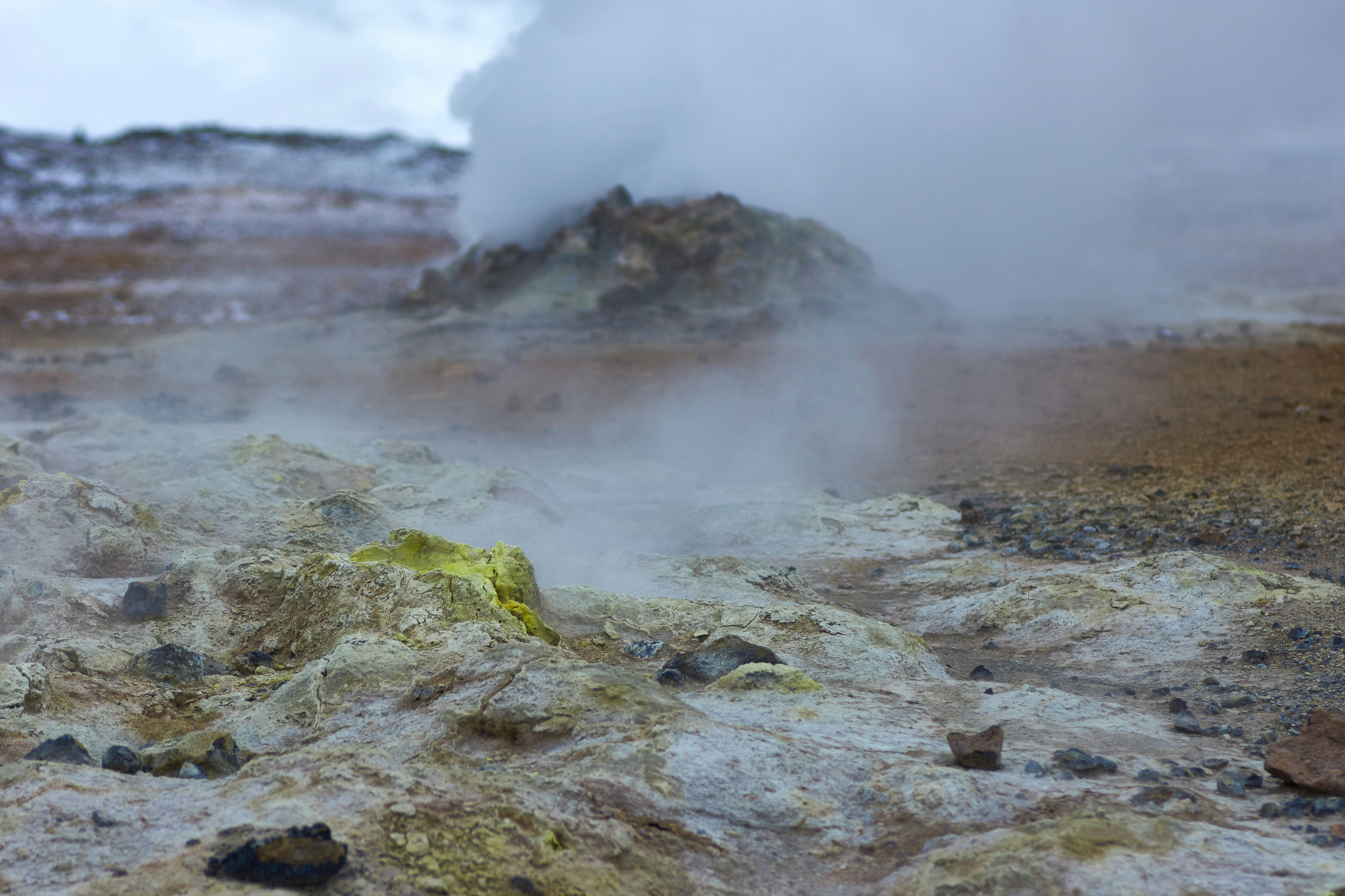 Photo by wolfgang_hasselmann