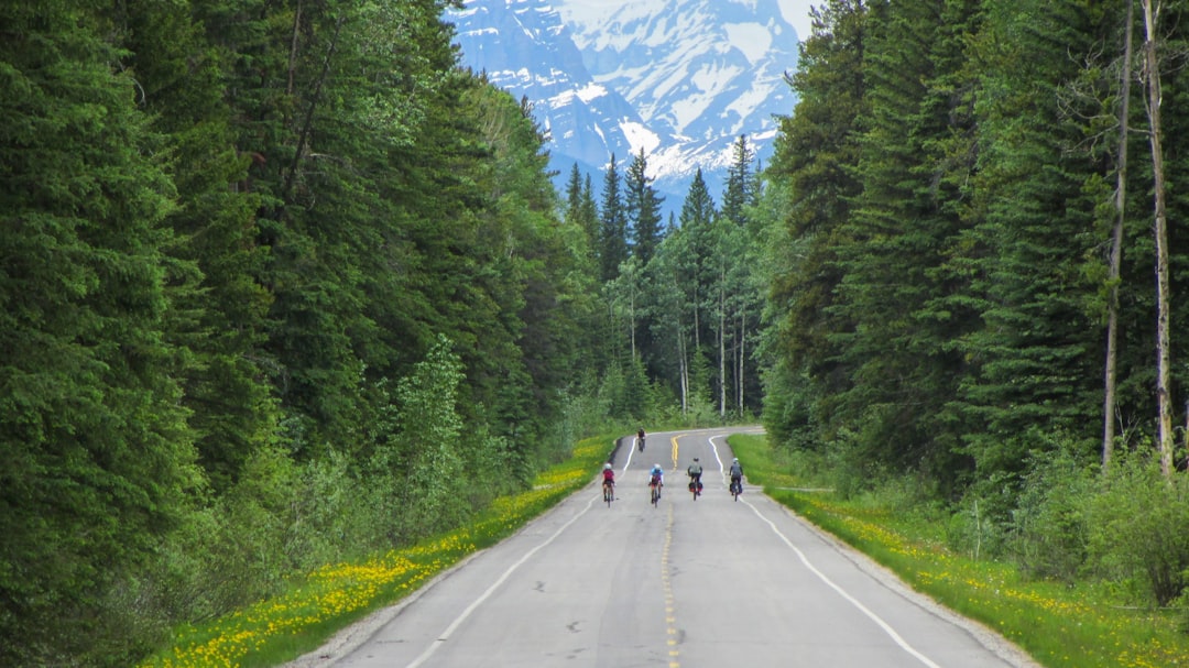 Road trip photo spot Banff Lake Louise Ski Resort