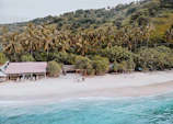 people on beach during daytime