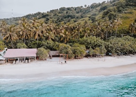 people on beach during daytime