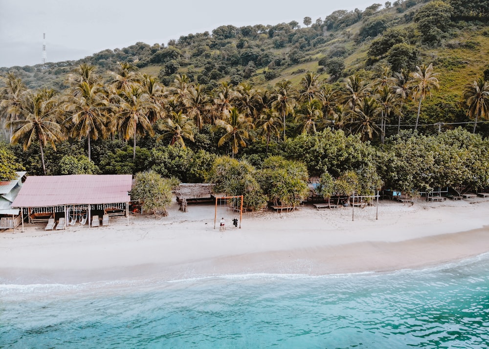 people on beach during daytime