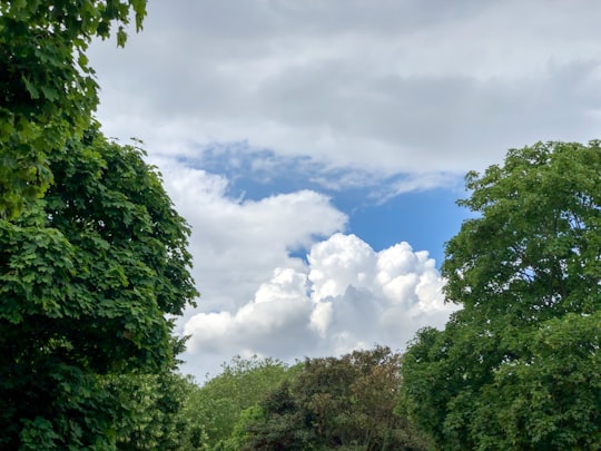 green trees under white clouds and blue sky during daytime in Victoria Park United Kingdom