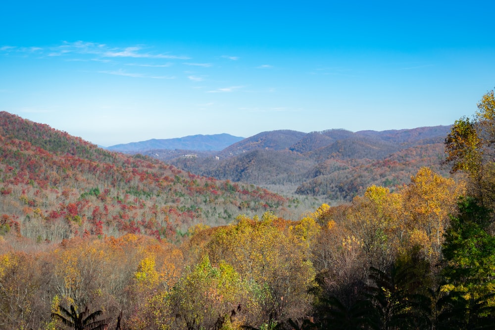 a scenic view of the mountains in autumn
