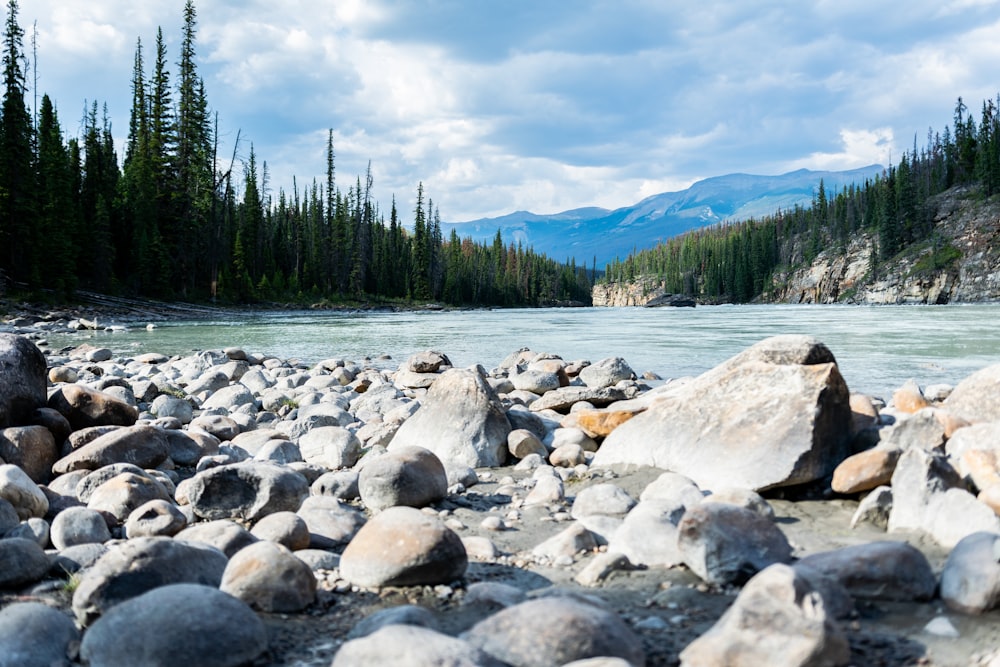 gray rocks on river near green trees under white clouds and blue sky during daytime