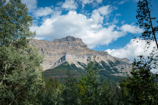 green trees near brown mountain under blue sky during daytime in Jasper Canada