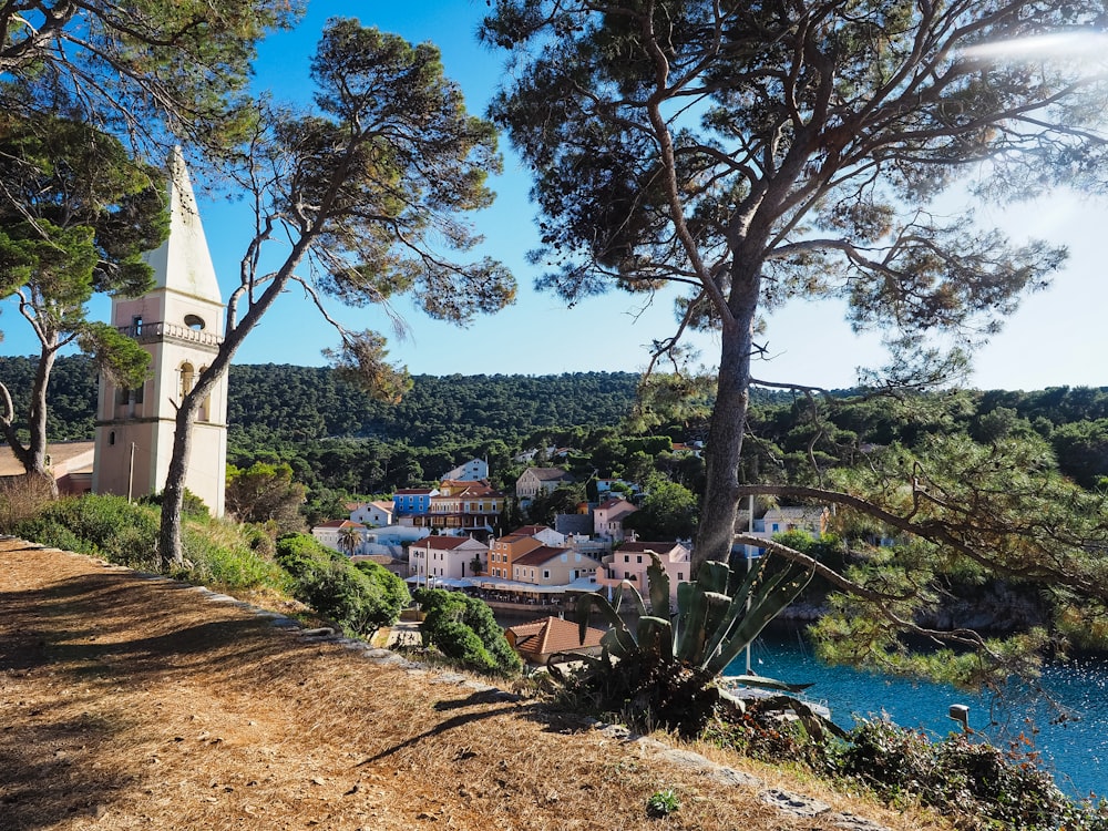 alberi verdi vicino allo specchio d'acqua durante il giorno