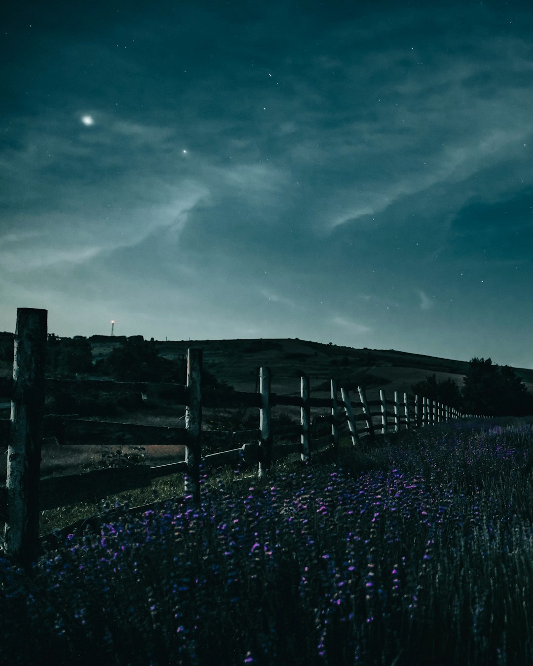 brown wooden fence on purple flower field under blue sky during daytime