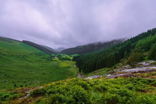 green grass field and trees under white clouds in Wicklow Mountains National Park Ireland