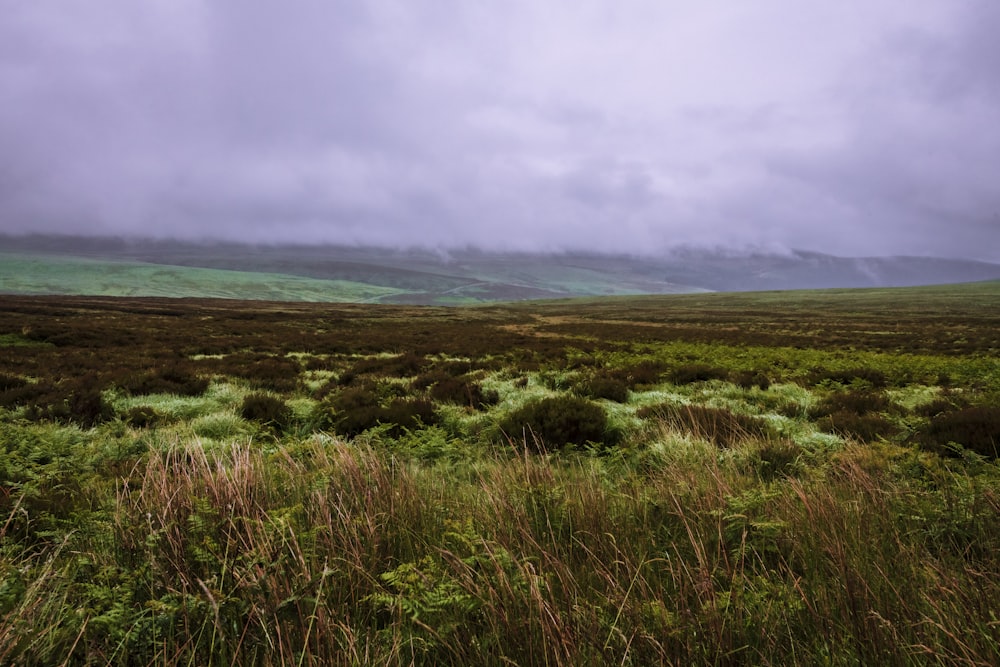 green grass field under cloudy sky during daytime