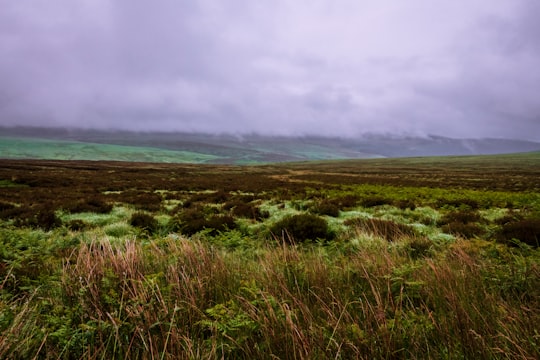 green grass field under cloudy sky during daytime in Wicklow Ireland