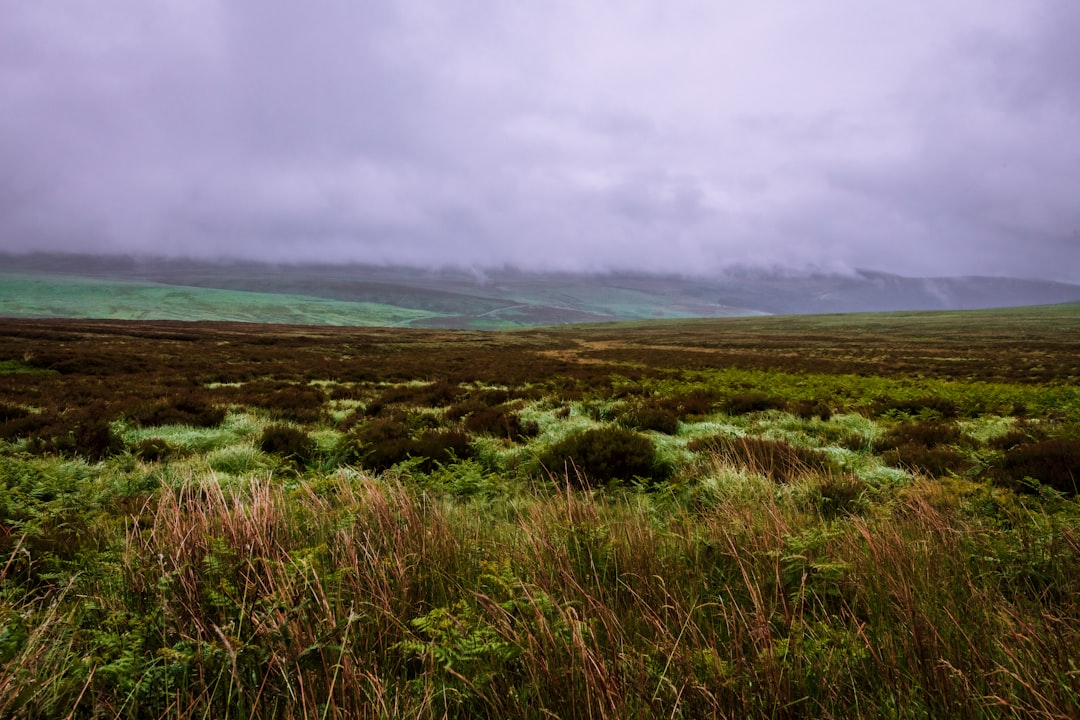 Plain photo spot Wicklow Wexford