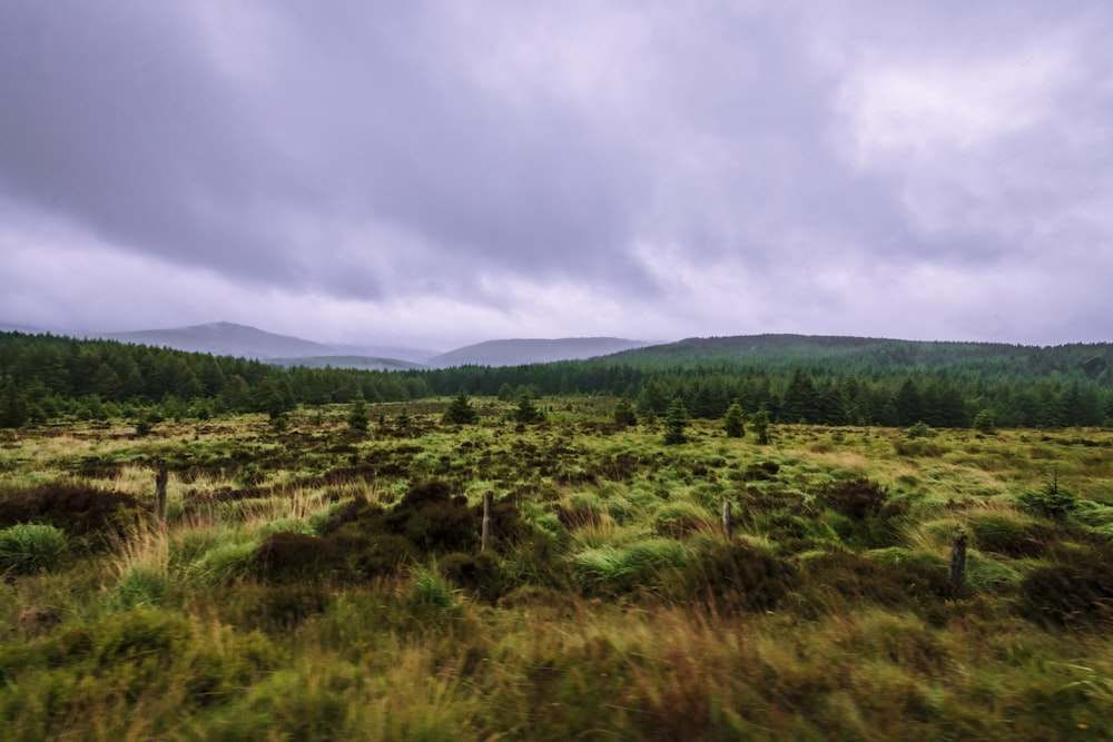 green grass field under cloudy sky during daytime