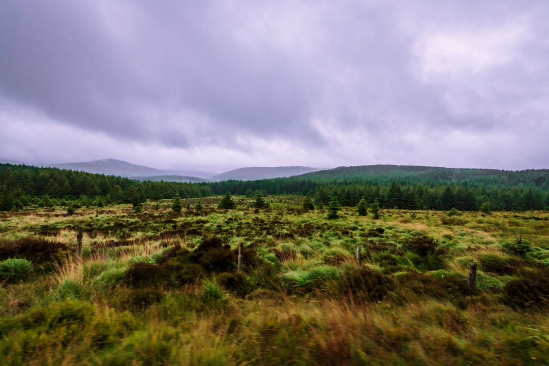 travelers stories about Hill in Wicklow, Ireland