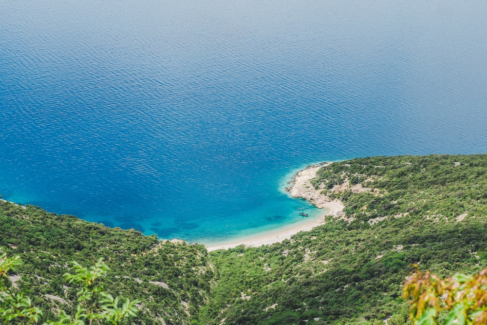 aerial view of green trees beside blue sea during daytime