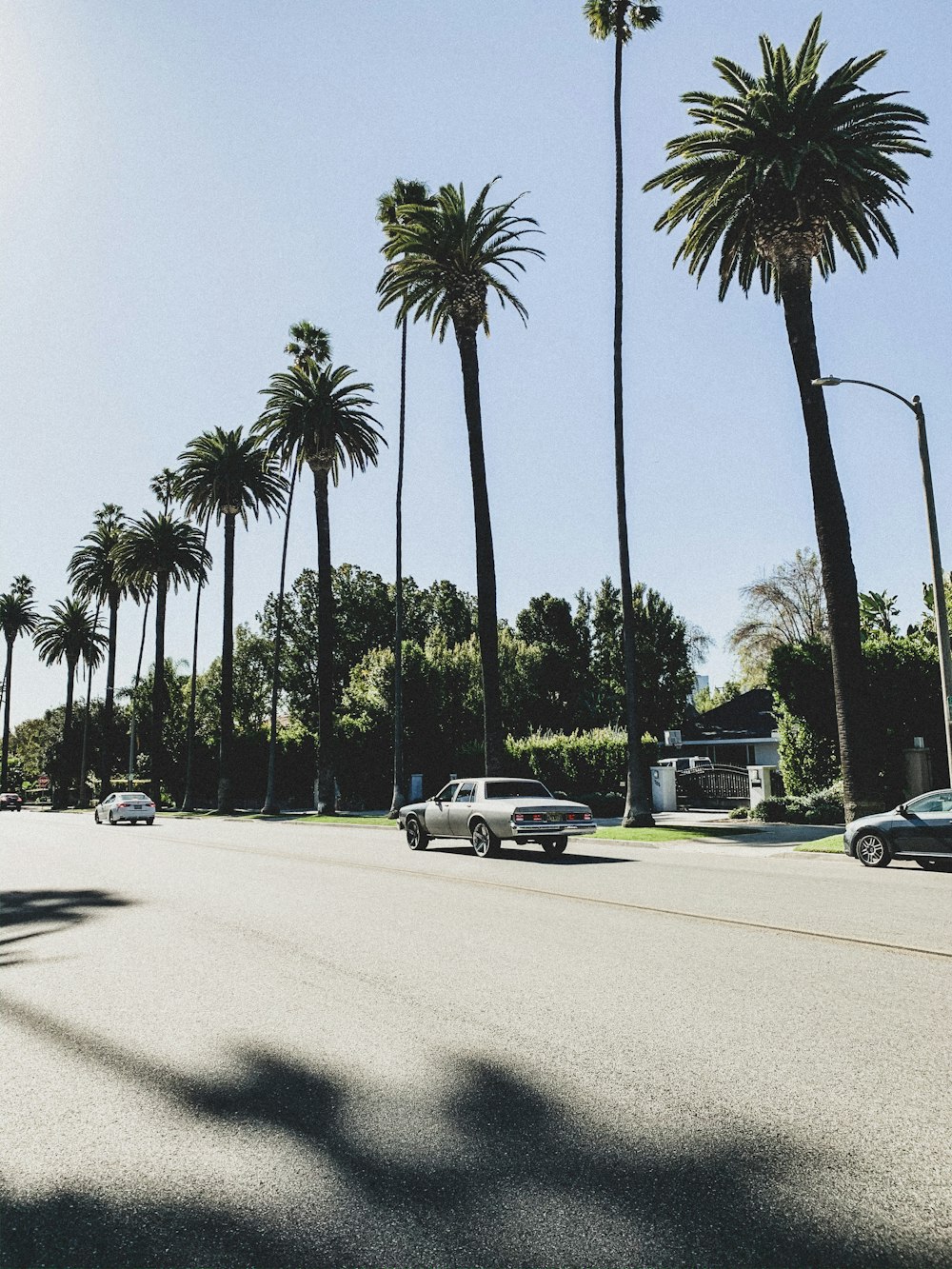 white and black cars on road during daytime