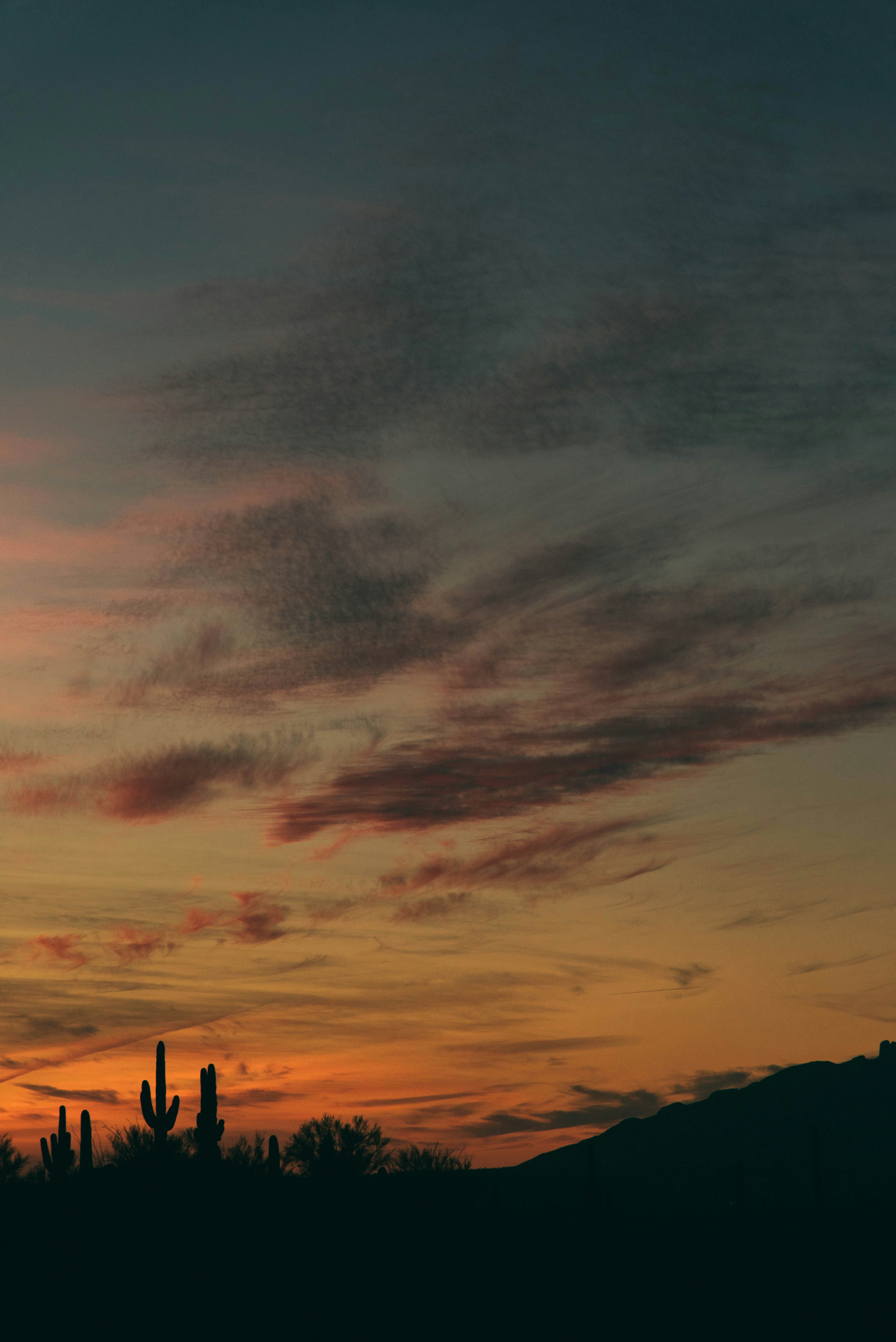 Tucson, Arizona building silhouette against desert sky