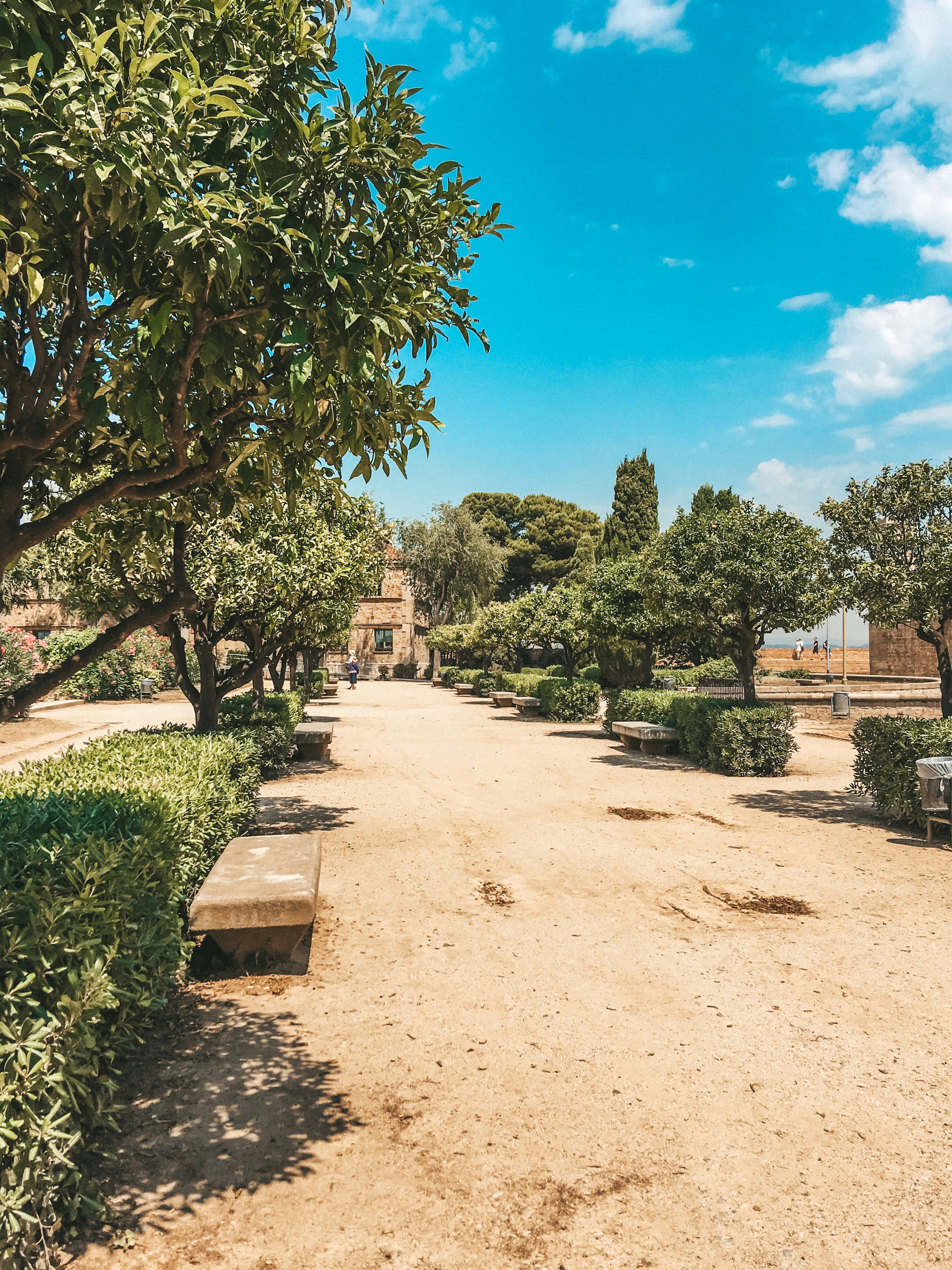 green trees and brown concrete building under blue sky during daytime