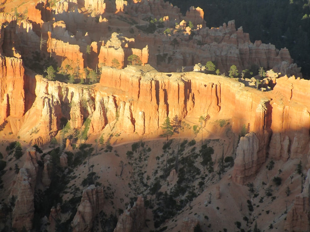 brown rocky mountain with green trees