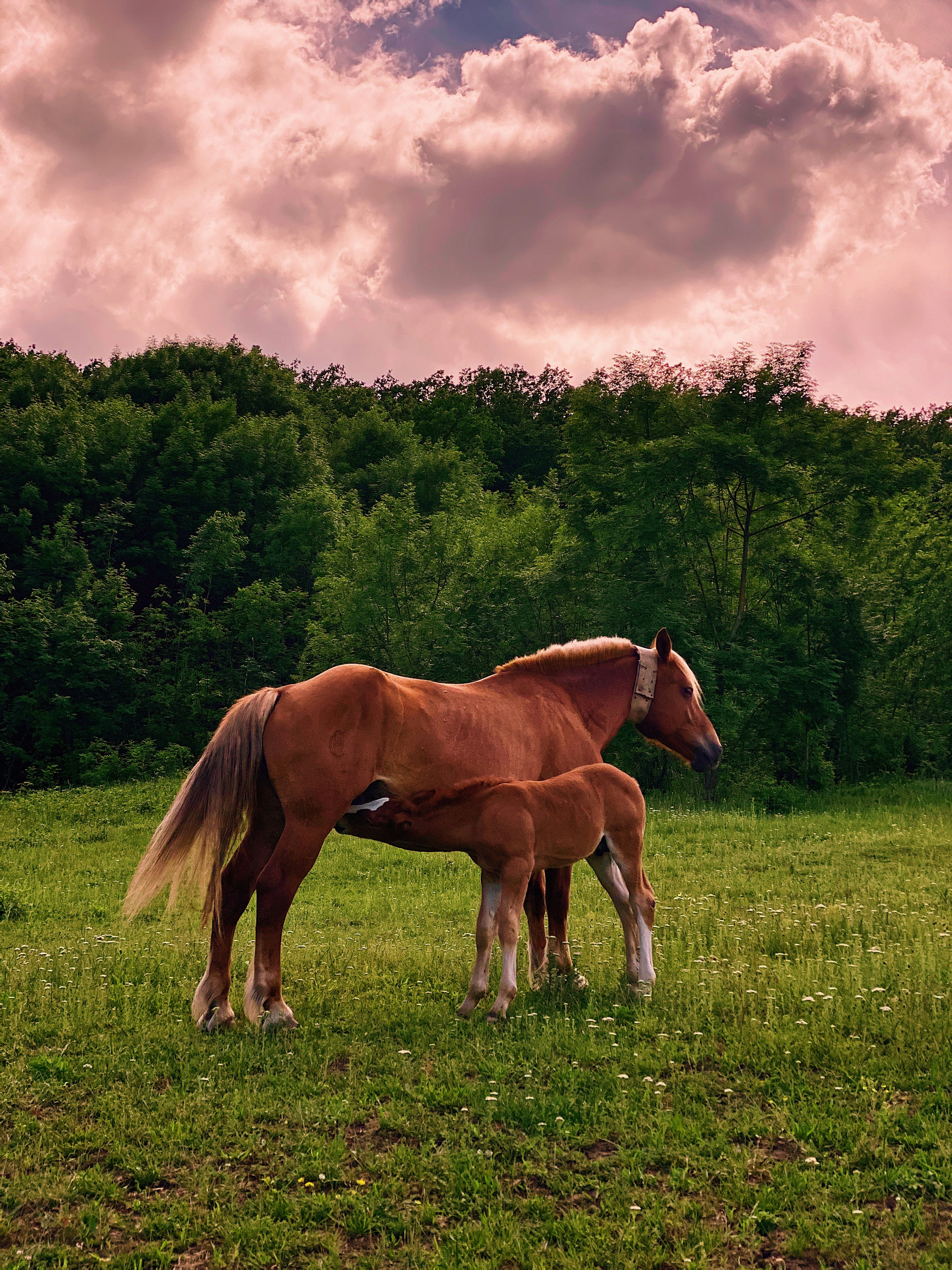 Photo by mulatamulatka