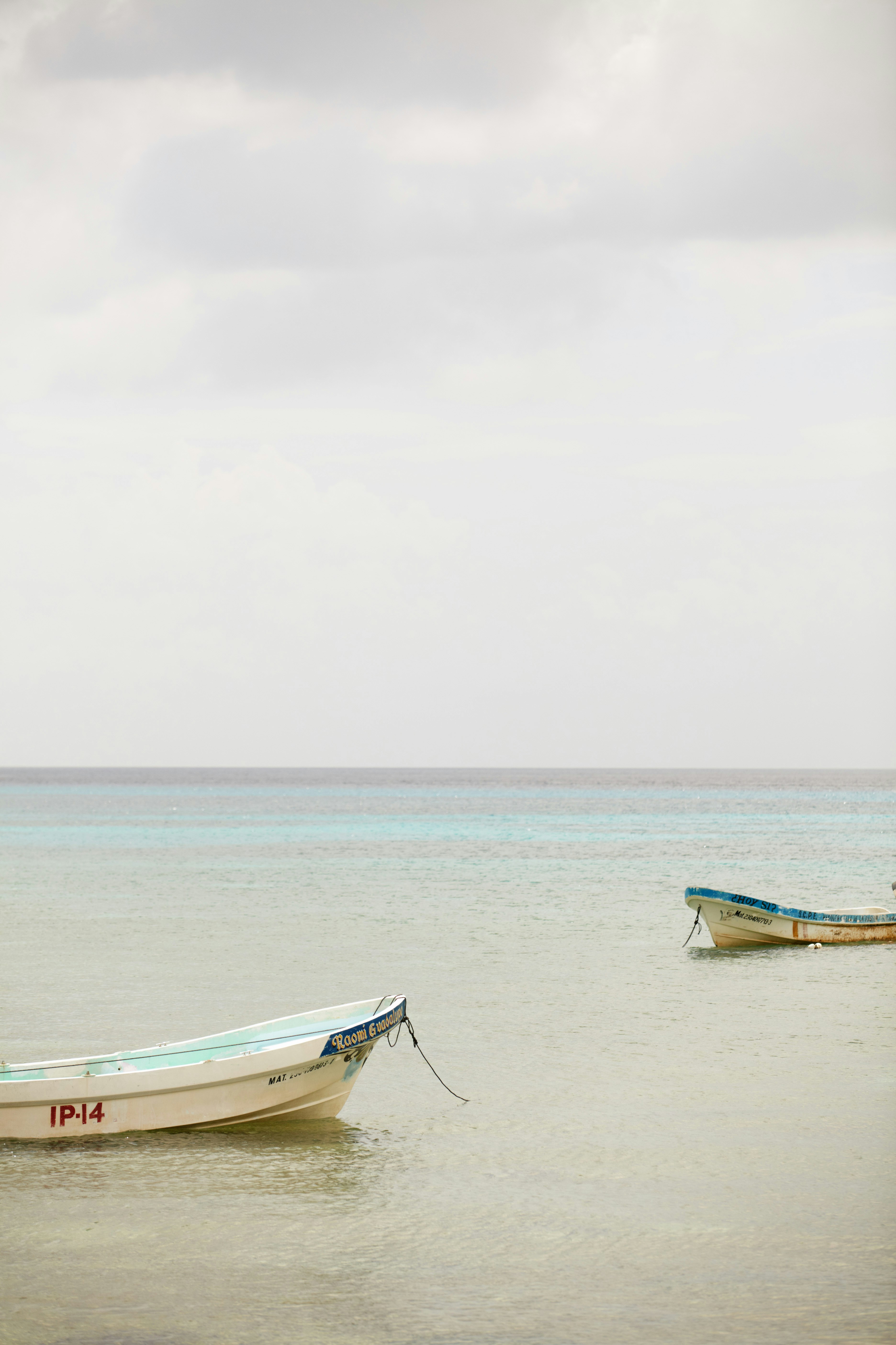 Photo by theadamdillon