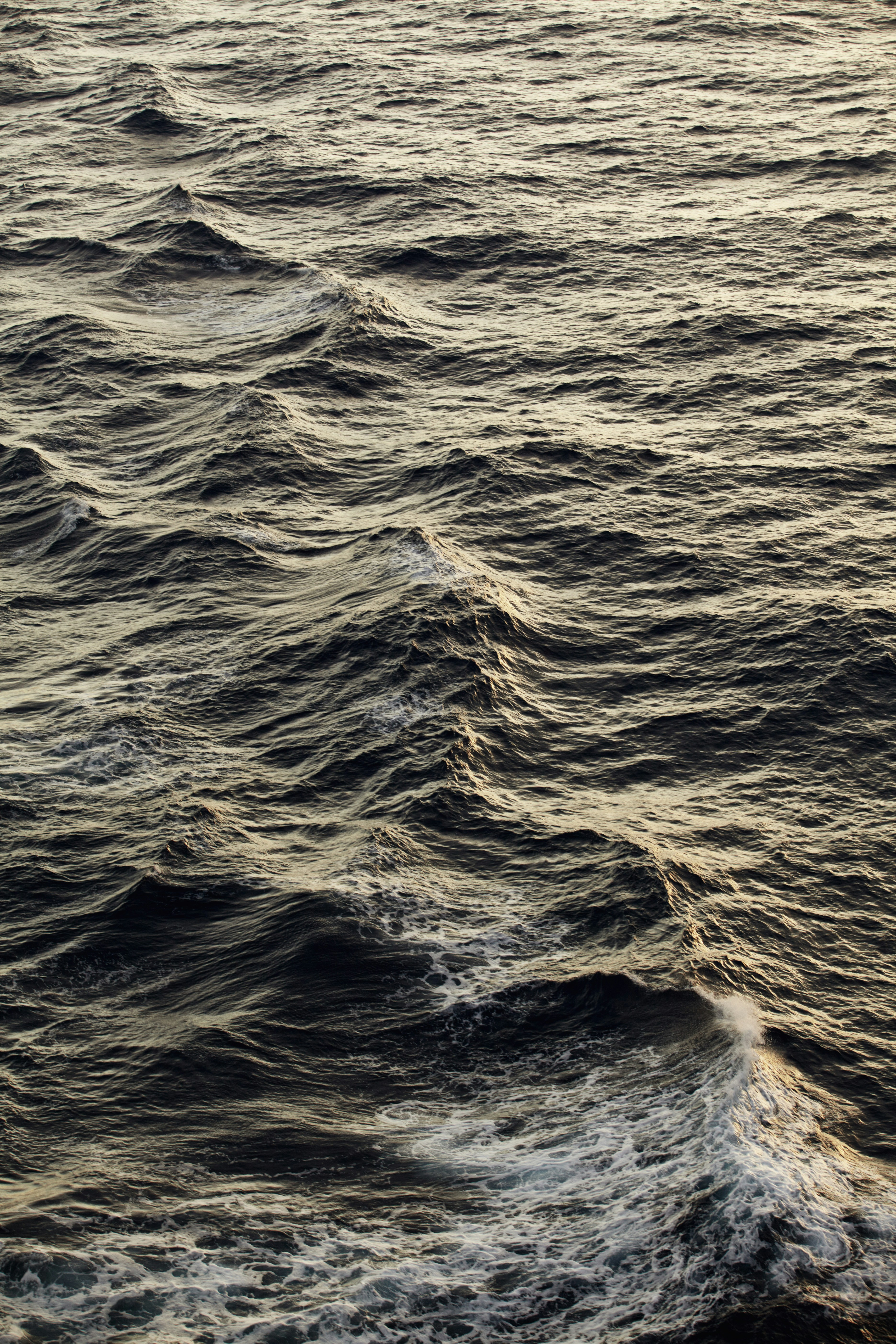 Photo by theadamdillon