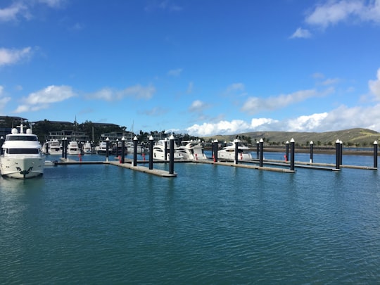 photo of Airlie Beach QLD Dock near Whitsunday Islands National Park