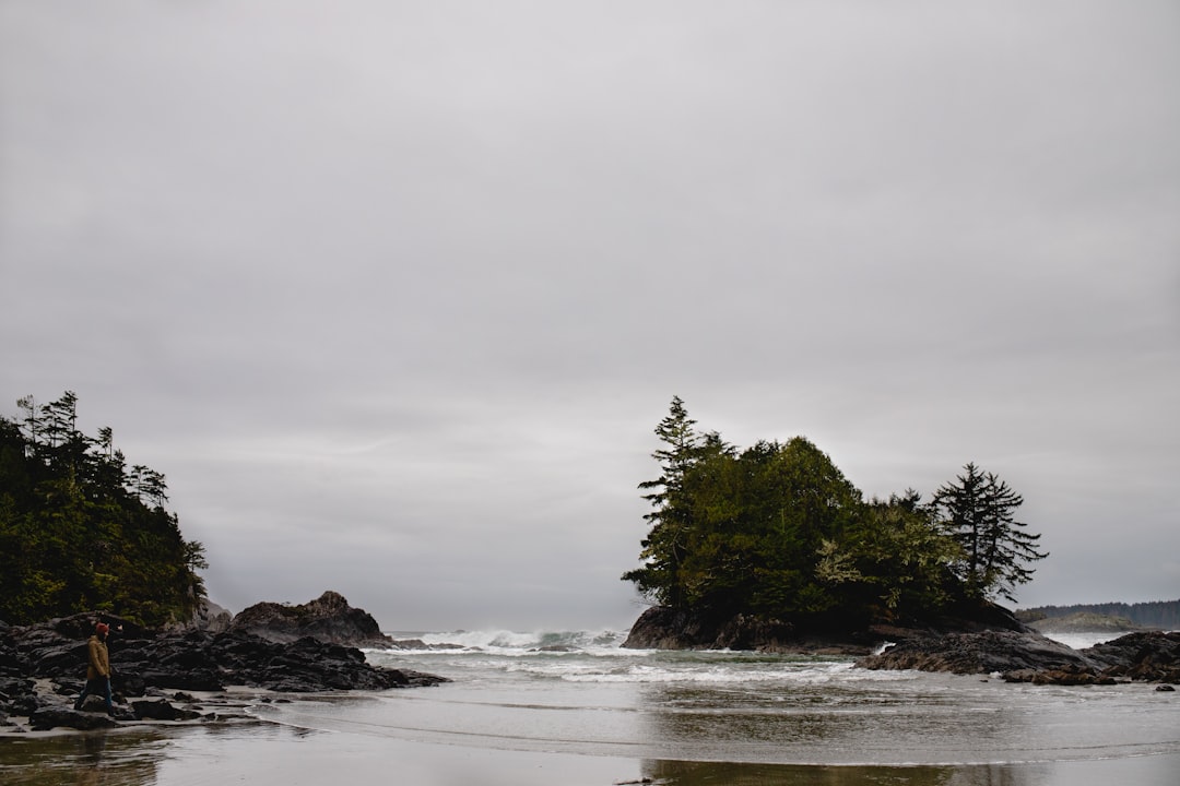 green trees on brown rock formation on sea water under white clouds during daytime