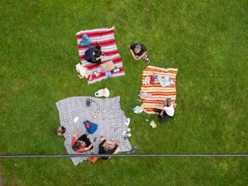 Aerial view of a grassy area with two groups of people sitting on colorful blankets. The scene has a vibrant picnic setup, with items like food containers and bags scattered around. The grass is lush and green, creating a natural and relaxed atmosphere for the gathering.