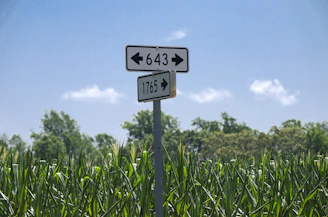 A vibrant road sign installed on a rural highway with clear directional arrows.