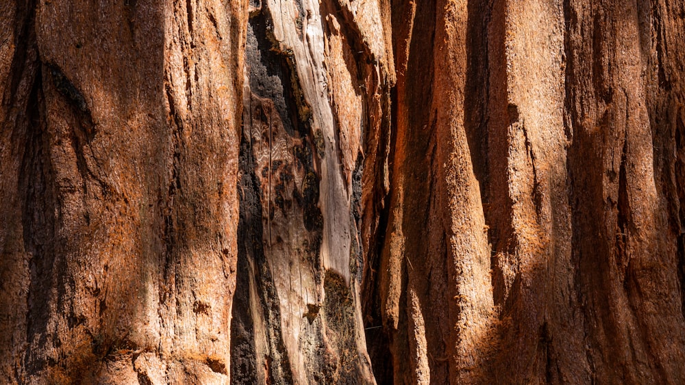 brown and black rock formation